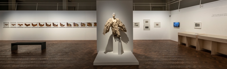 Raoul_Servais_ZZ_019