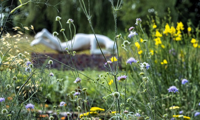 Foto Yvan Mahieu