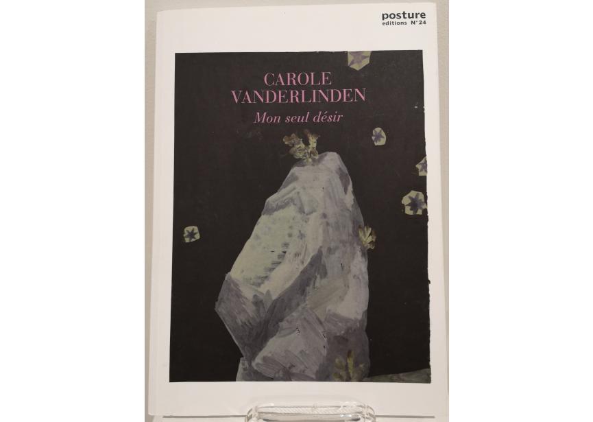 posture 24 Carolien Vanderlinden